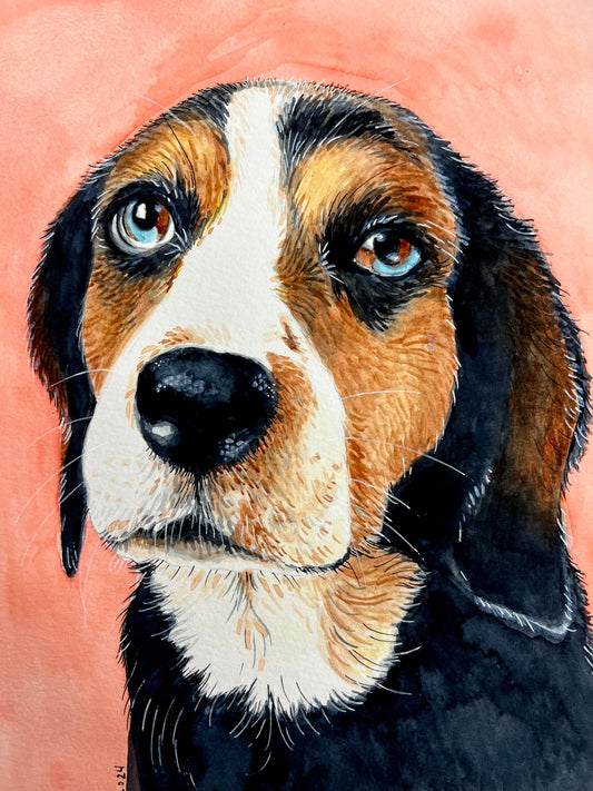 Cooper